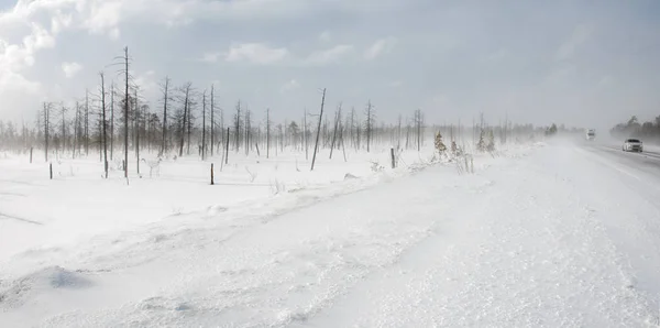 Zimowa jazda podczas blizzard. — Zdjęcie stockowe
