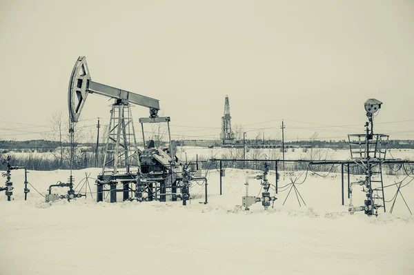 Jack bomba de aceite y cabeza de pozo en el campo petrolífero —  Fotos de Stock