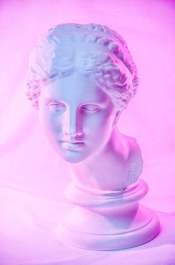 Venus de Milo heykeli. Antik Yunan heykeli Venüs veya Afrodit kafası olan yaratıcı renkli neon imge. Webpunk, buhar dalgası ve gerçeküstü sanat tarzı. Pembe ve mavi duoton efektleri.
