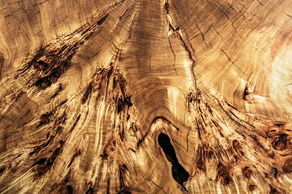 エルムツリーのテクスチャクロスセクション。天然のバリの木の背景。木の表面。エキゾチックな木製の美しいパターン。エルム・スラブ。木工と大工の生産。家具製造業. — ストック写真