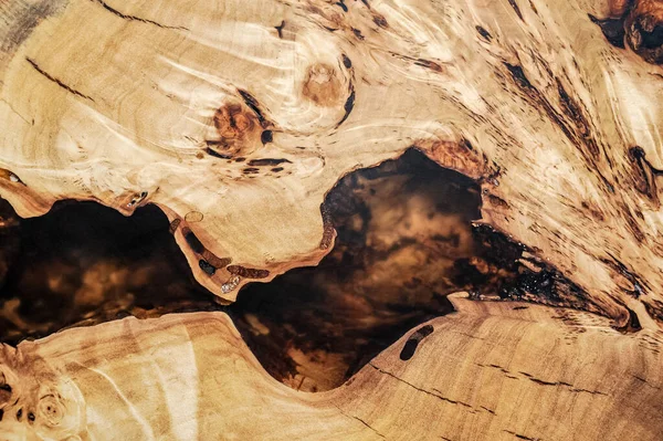 Trama sezione trasversale di olmo. Fondo in legno naturale radica. Superficie in legno. Esotico modello in legno bello. Lastra di olmo vivo. Produzione di falegnameria e lavorazione del legno. Fabbricazione di mobili . — Foto Stock