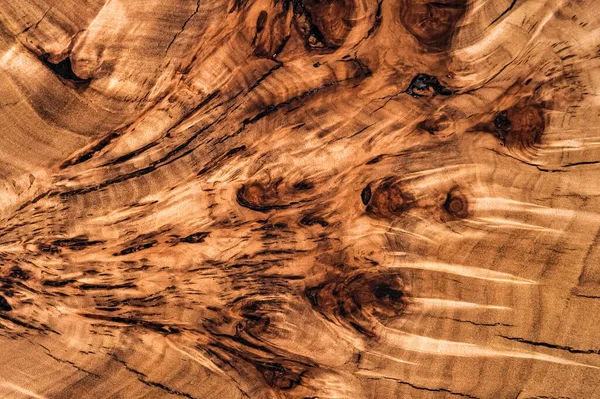 A szilfa textúrájának keresztmetszete. Természetes burl fa háttér. Fa felület. Egzotikus fa gyönyörű minta. Élő szilfa tábla. Faipari és ácsipari termelés. Bútorgyártás. — Stock Fotó