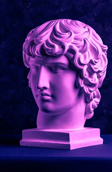 Gipsowa kopia starożytnego słynnego posągu Antinous głowa na ciemnym teksturowanym tle. Tynk antyczna rzeźba młody człowiek twarz epoki renesansu. Fioletowy stonowany. — Zdjęcie stockowe