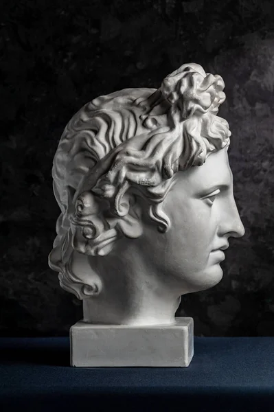 Λευκός γύψος αντίγραφο του αρχαίου αγάλματος του Απόλλωνα Θεού του Ήλιου κεφάλι για τους καλλιτέχνες σε ένα σκούρο φόντο υφή. Αναγέννηση. Πλαστικό γλυπτό του προσώπου του ανθρώπου. — Φωτογραφία Αρχείου