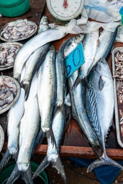 Tayland, Phuket 'te bir sokak pazarında taze balık satıyorum. Adaman Denizi 'nden deniz ürünleri. Arka planda fiyat etiketleri var..