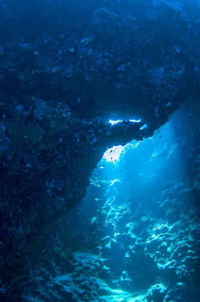 Unterwasserlandschaft. Meereslebewesen unter der Meeresoberfläche, buntes Meeresleben, natürliche Szenerie. Korallenriffe und tropische Fische. Meeresboden im Roten Meer. Biologische Vielfalt und Umweltschutz. — Stockfoto