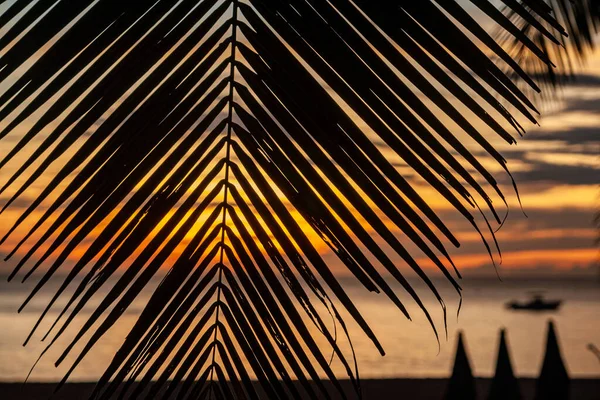 Piękny kolorowy zachód słońca przez ciemne liście palmy. Nieco widoczne sylwetki leżaków i dryfującej łodzi. Złote niebo, które zabarwiło się słońcem. Na plaży nad Morzem Andamańskim. Tajlandia. — Zdjęcie stockowe
