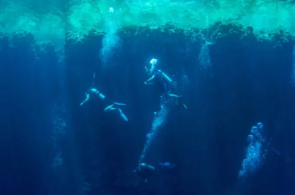 Pohled zepředu na potápěčskou skupinu, která plave a prozkoumává temně modrou oceánskou vodu na pozadí korálového útesu. Muž a žena v ploutvích zkoumá mořské dno. Potopit. Aktivní život.Vzduchové bubliny. — Stock fotografie