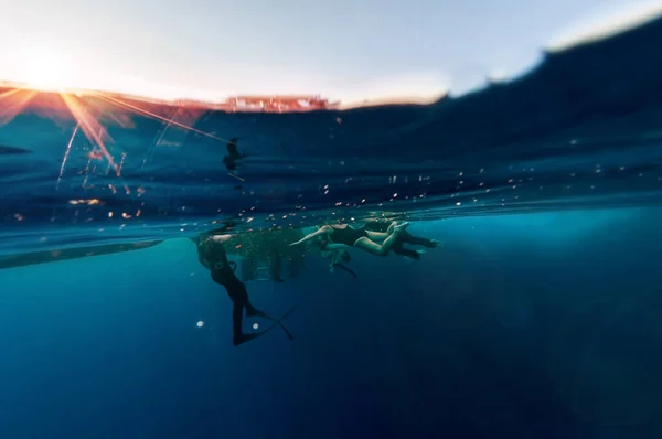 Ein genauer Blick unter und über die Wasseroberfläche auf eine Tauchergruppe, die aufstieg, nachdem sie tiefes, dunkles, ozeanblaues Wasser erkundet hatte. Unterwasserfauna und -flora, Meereslebewesen. Aktives Leben. Luftblasen. — Stockfoto