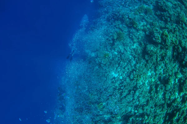 Blick von oben auf eine Tauchergruppe, die in der Nähe eines Korallenriffs tiefes, dunkles ozeanblaues Wasser erkundet. Männchen und Weibchen in Brustflossen untersuchen den Meeresboden. Tauchgang. Aktives Leben. Schuss durch Luftblasen. Stockbild