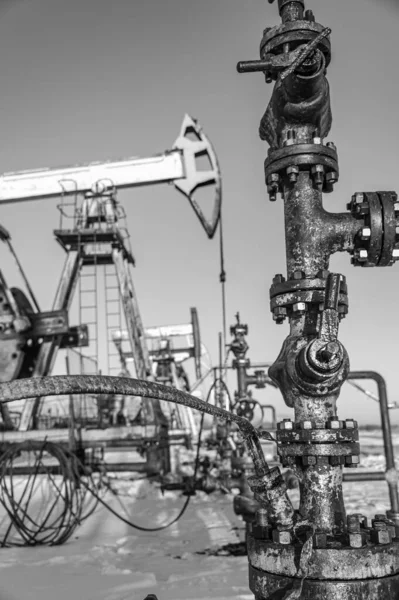 Oljepumpsrigg. Olje- och gasproduktion. Oljefält. Pump Jack springer. Borrkranar för produktion av fossila bränslen och råolja. Krig mot oljepriserna. Krisen med det globala coronaviruset COVID 19. — Stockfoto