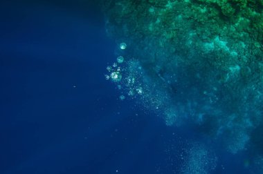Bir mercan resifinin yakınındaki derin okyanus mavi suyunu araştıran dalgıçlar grubunun yüzüşünün en üst görüntüsü. Yüzgeçli erkek ve dişi, deniz tabanını inceliyor. Dalın. Aktif hayat. Hava kabarcıklarının içinden geçti..
