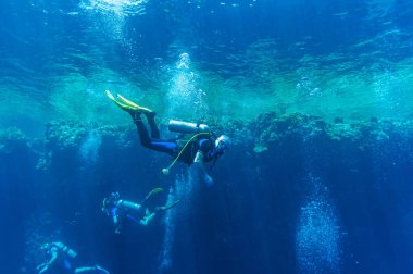 Bir mercan resifinin arka planına karşı derin okyanus mavi sularını keşfeden dalgıç grubunun ön görüntüsü. Yüzgeçli erkek ve dişi, deniz tabanını inceliyor. Dalın. Etkin yaşam. Kabarcıklar.