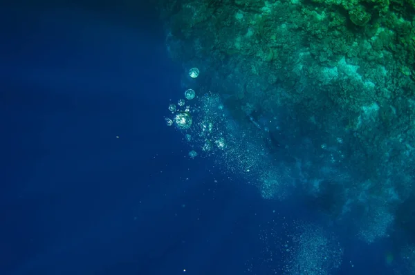 Vista dall'alto su immersioni subacquee gruppo di nuoto che esplorano profondo oceano scuro acqua blu vicino a una barriera corallina. Maschio e femmina in pinne esamina i fondali marini. Tuffati. Vita attiva. Sparato attraverso bolle d'aria . — Foto Stock