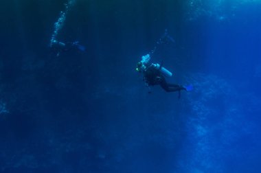 Bir mercan resifinin arka planına karşı derin okyanus mavisi sularını keşfeden dalgıç grubunun yüzüşünün en üst görüntüsü. Yüzgeçli erkek ve dişi, deniz tabanını inceliyor. Dalın. Aktif hayat. Hava kabarcıkları.