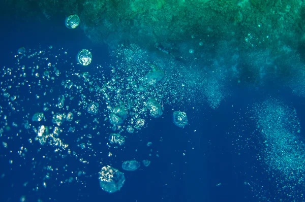 Vista dall'alto su immersioni subacquee gruppo di nuoto che esplorano profondo oceano scuro acqua blu vicino a una barriera corallina. Maschio e femmina in pinne esamina i fondali marini. Tuffati. Vita attiva. Sparato attraverso bolle d'aria . — Foto Stock