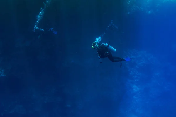 Вид зверху на акваланг дайверів групи плавання, які досліджують глибоку темну океанську блакитну воду на тлі коралового рифу. Чоловік і жінка в лапах оглядають морське дно. Пірнати. Активне життя. повітряні бульбашки . Стокове Зображення