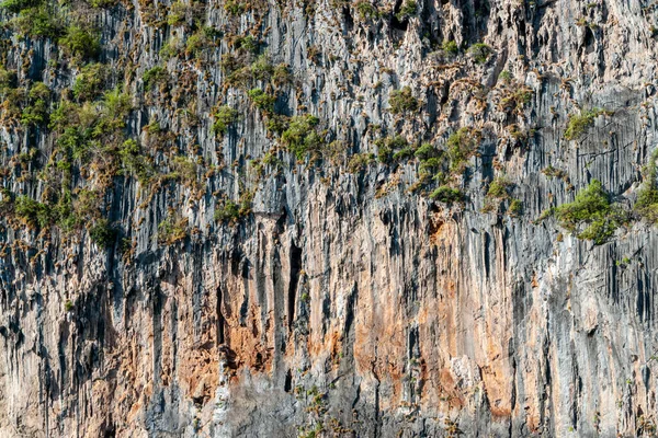 Majestuosa montaña colorida pura texturizada cubierta de piedra caliza con pared de vegetación tropical. Gran acantilado naranja. Fotografiado con zoom. Fondo natural, plantas pintorescas y verdes. Tailandia . —  Fotos de Stock