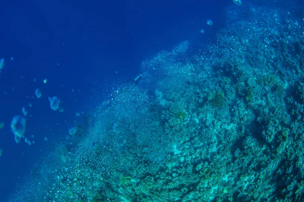 Vista superior sobre mergulho mergulhadores grupo de natação que exploram profundo oceano escuro água azul perto de um recife de coral. Homem e mulher em barbatanas examina o fundo do mar. Mergulhe. Vida activa. Tiro através de bolhas de ar . — Fotografia de Stock