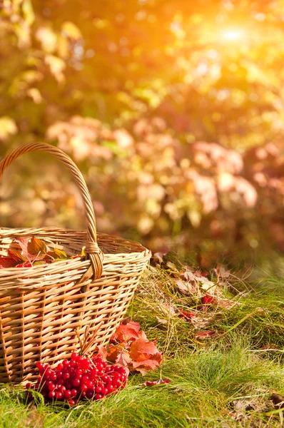 Krásný slunečný podzim — Stock fotografie