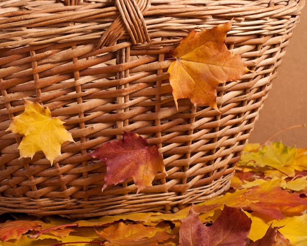 Panier d'automne et feuilles d'érable — Photo