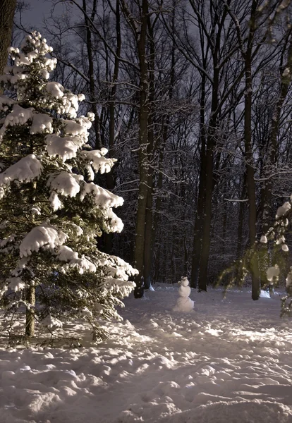 Hutan musim dingin yang indah di malam hari — Stok Foto