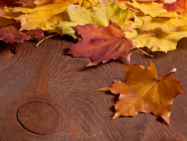 The Autumn background — Stock Photo, Image