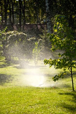 Otomatik sulama çimenler