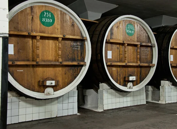 Big wooden barrels with wine in cellar in Massandra winery, Yalta, Crimea — Stock Photo, Image