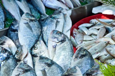 Taze çiğ dorado balık buz gıda pazarında Satılık