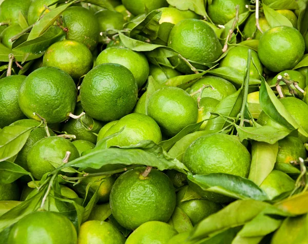 Muitos Fruta Laranja Tangerina Verde Com Folhas Verdes Fundo Comida — Fotografia de Stock