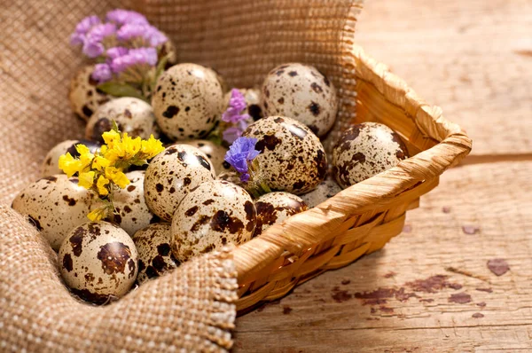 Uova di quaglia. Natura morta di Pasqua — Foto Stock