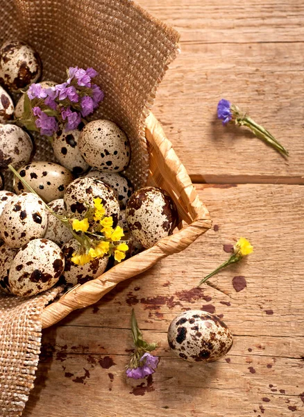 Uova di quaglia. Natura morta di Pasqua — Foto Stock