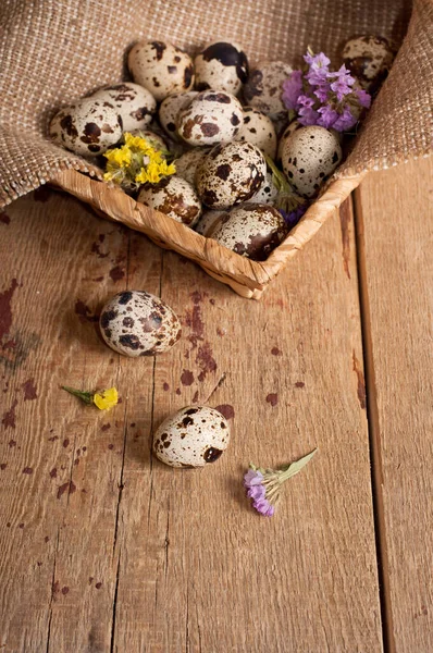 Uova Quaglia Cesto Fiori Vista Dall Alto Natura Morta Pasqua — Foto Stock