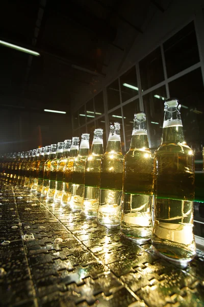 Botellas de cerveza en el transportador de la planta . — Foto de Stock