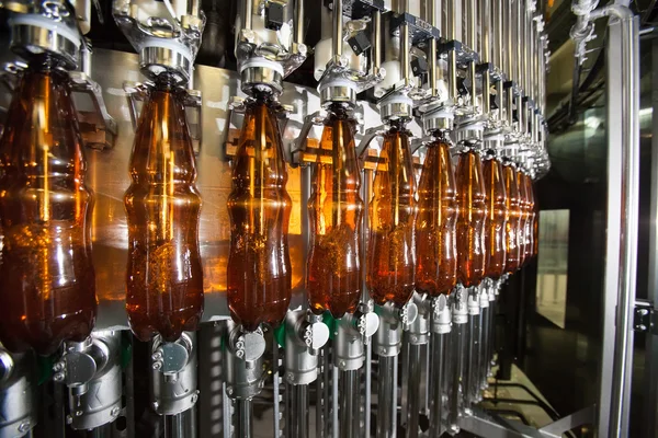 Beer bottles on the conveyor line. — Stock Photo, Image