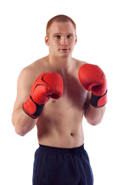 Портрет молодого чоловіка-боксера, що згинає м'язи ізольовані на білому тлі — стокове фото