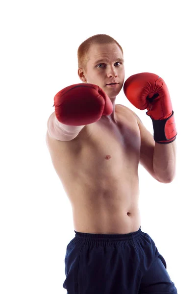 Portrait of young male boxer flexing muscles isolated over white — Stock Photo, Image