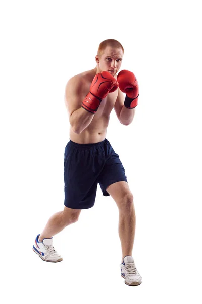 Full length portrait of young male boxer flexing muscles isolated over white background — Stock Photo, Image