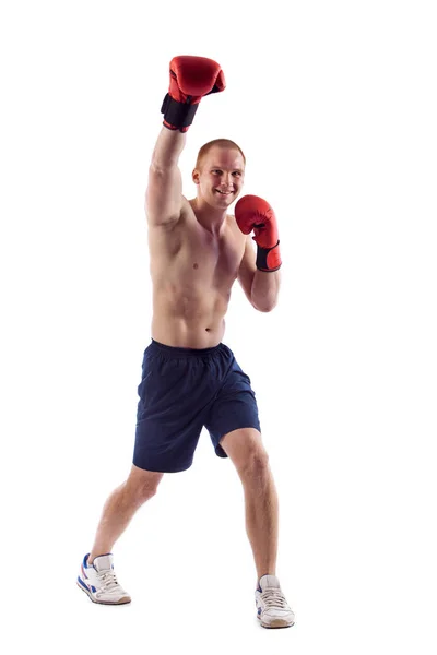 Портрет молодого боксера, сгибающего мышцы на белом фоне — стоковое фото