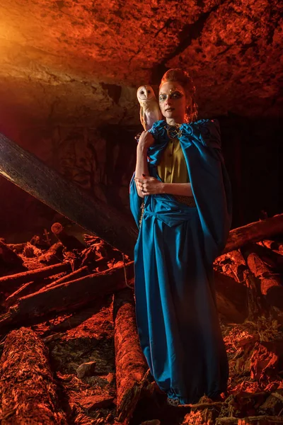 Güzel kırmızı saçlı cadı ile beyaz baykuş.