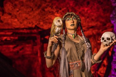 Beyaz baykuş ve kafatası el ile güzel cadı.