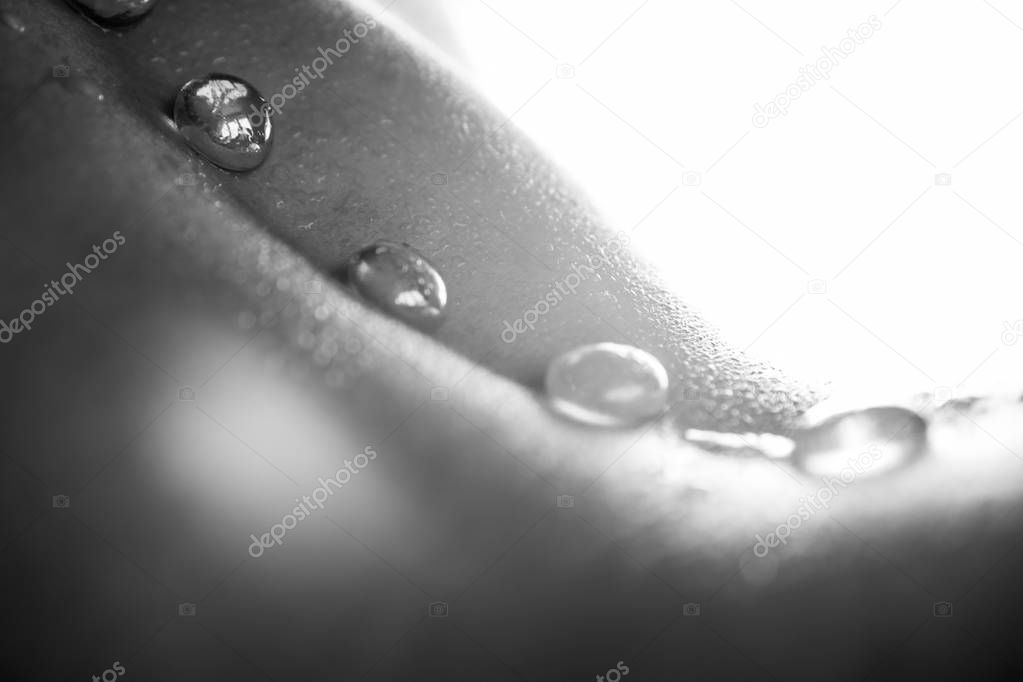 Monochrome photography of wet woman's belly with white stones