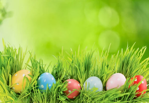 Row of Easter eggs — Stock Photo, Image