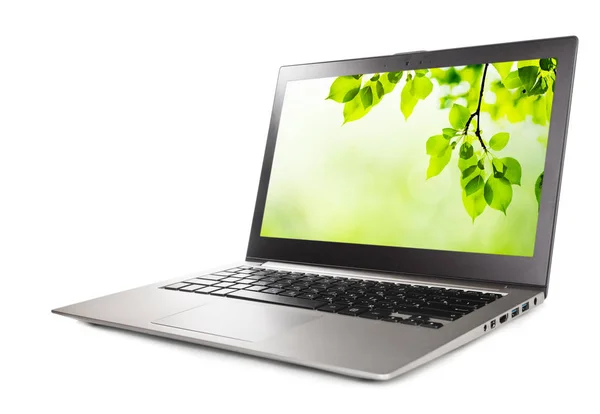 Dizüstü bilgisayar ekranında yeşil yaprakları ile — Stok fotoğraf