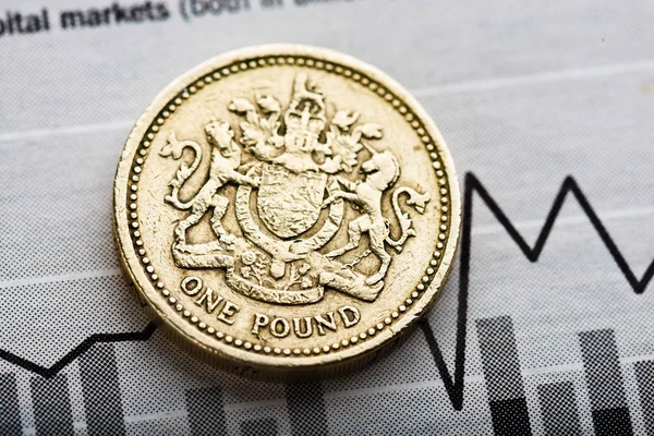 One pound coin — Stock Photo, Image