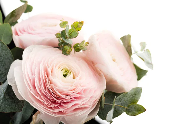 Beautiful pink roses — Stock Photo, Image