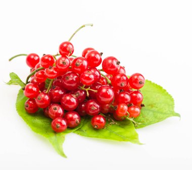 Yeşil yaprakları üzerinde kırmızı kuş üzümü