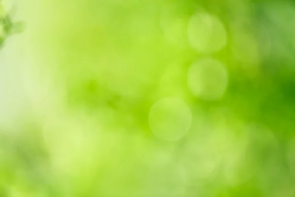 soyut bulanık yeşillik