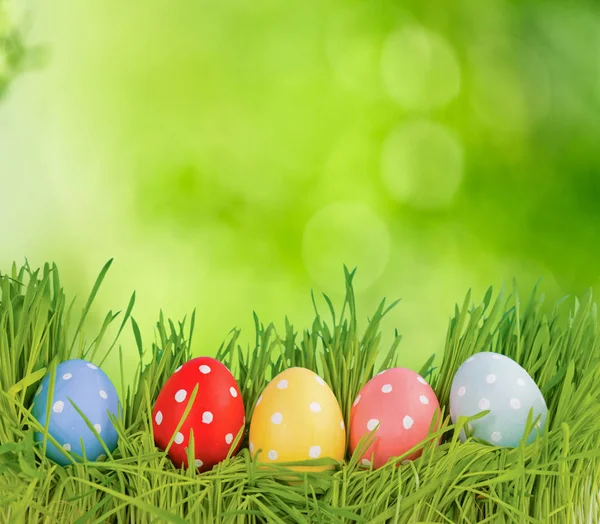 Row of Easter eggs — Stock Photo, Image